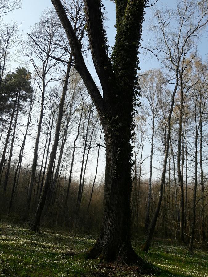 Лазурний Берег Pulemets Exterior foto
